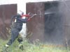 Cobra w jastrz�biu Zdr�j
