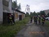 Cobra w jastrz�biu Zdr�j