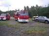 Cobra w jastrz�biu Zdr�j