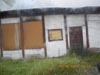 Cobra w jastrz�biu Zdr�j