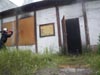 Cobra w jastrz�biu Zdr�j