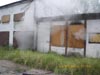 Cobra w jastrz�biu Zdr�j