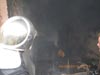 Cobra w jastrz�biu Zdr�j