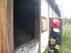 Cobra w jastrz�biu Zdr�j