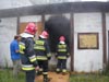 Cobra w jastrz�biu Zdr�j