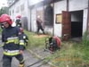 Cobra w jastrz�biu Zdr�j