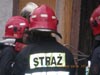 Cobra w jastrz�biu Zdr�j