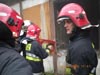 Cobra w jastrz�biu Zdr�j