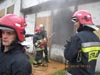 Cobra w jastrz�biu Zdr�j