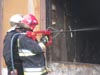 Cobra w jastrz�biu Zdr�j