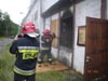 Cobra w jastrz�biu Zdr�j