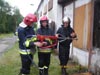 Cobra w jastrz�biu Zdr�j